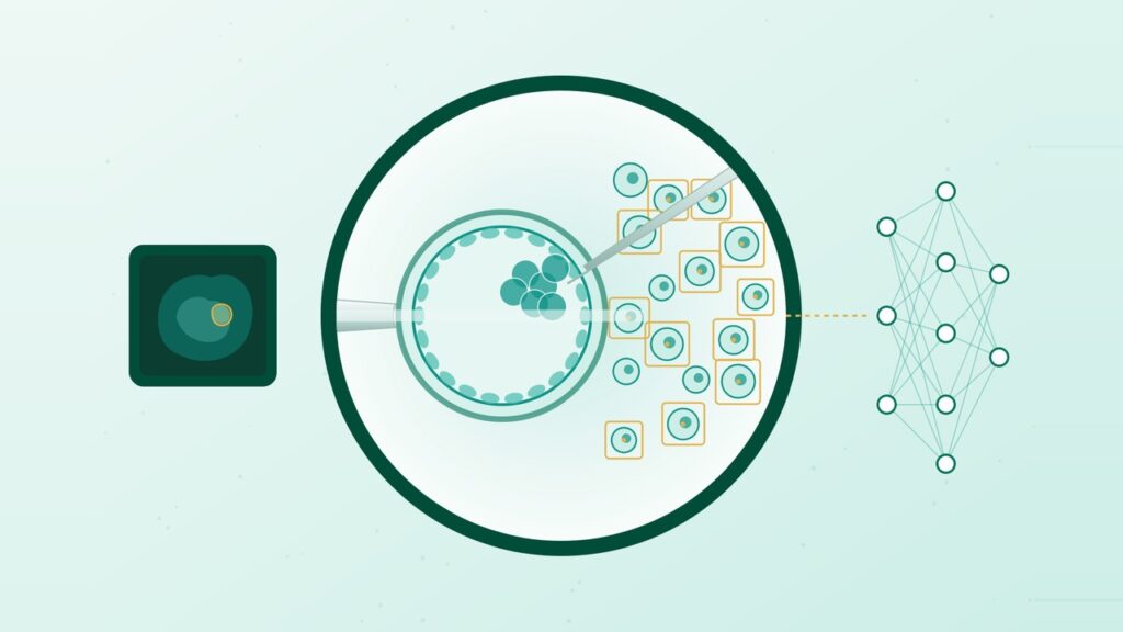 Cell manipulation and biomedical vision research schematic