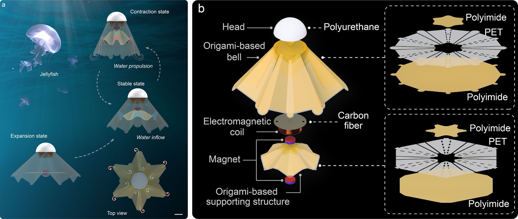 Origami-based jellyfish robot driven by near-field magnetic actuation: concept and exploded structure (S. Wang et al., ICRA 2026).